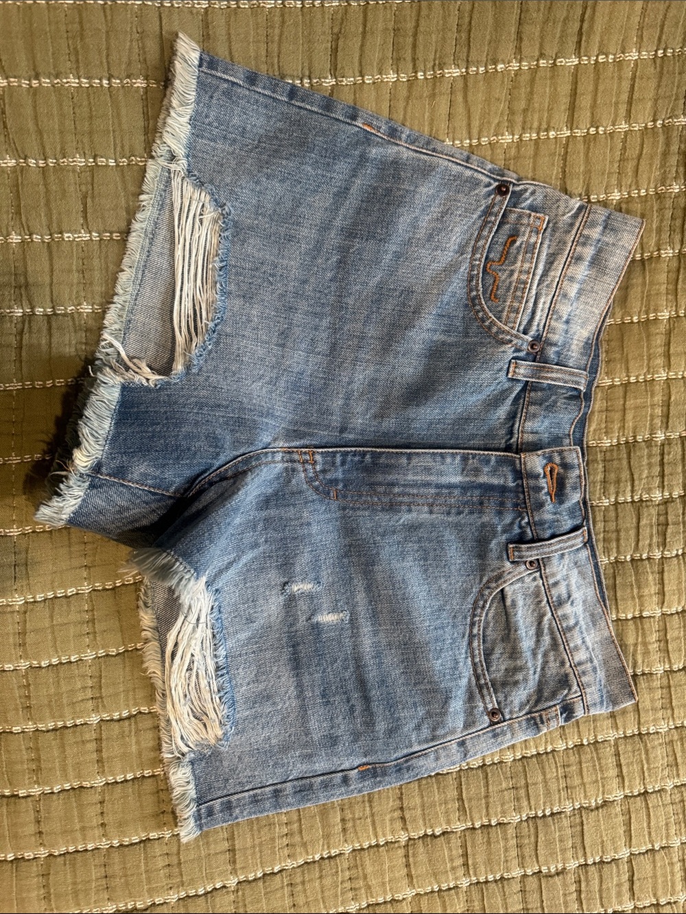 Denim Frayed Hem Women’s Shorts — Light Blue